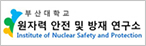 원자력 안전 및 방재 연구소 (INSP)